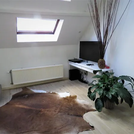 Einstein Apartamento